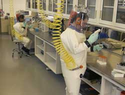 bio2.jpg