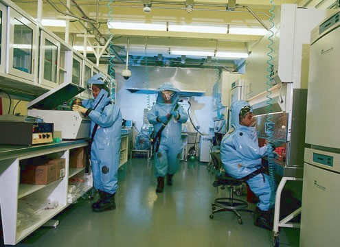 cdc8.jpg